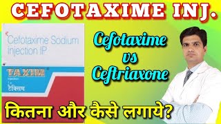 Taxim injection  Taxim injection uses in hindi  Cefotaxime injection  Cefotaxime vs ceftrixone [upl. by Aydidey930]