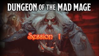 Dungeon of the Mad Mage  Session 1 [upl. by Ardnaeel697]