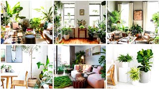 Wonderful Indoor Plants Decoration Designs amp Ideas For Home Part  2  Home Decoration Place [upl. by Aerdnu]