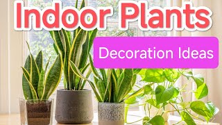 Indoor Plants decoration ideasthegrounddiariesindoormoneyplantgardening indoorplantsplantscare [upl. by Roseanne]