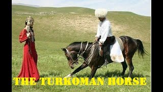 The Turkoman Horse in Golestan [upl. by Noiwtna]