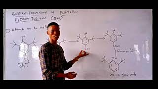 Biotransformation of Butylated Hydroxy Toluene  Well Explained [upl. by Allx728]