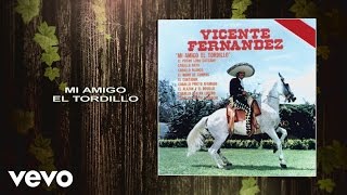 Vicente Fernández  Mi Amigo el Tordillo Cover Audio [upl. by Ledif]