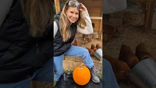 Cleaning the Chickens Coop 🐔 Thanks to my chickens for carving the pumpkin 🎃 cleaningwithgabie [upl. by Delly712]