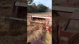 Tractor Tire Blowout While Baling in October [upl. by Nylsej]