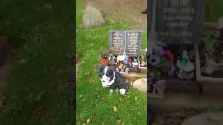 Lynda Bellingham obe actress chair and grave [upl. by Farmann233]