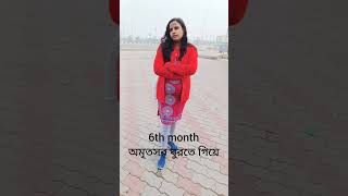 1month to 9 month pregnancy journey love hindisong ytshort trending [upl. by Ced607]