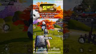 Панды в Пубг Мобайл siwestplay pubgmobile siwest сивест shorts [upl. by Earesed]