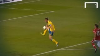 Zlatan Ibrahimović great goal  Sweden v Austria [upl. by Ymorej]