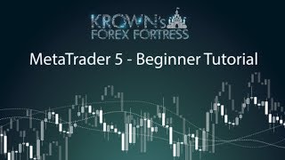 MetaTrader 5 Tutorial  EvolveMarkets Walk Through [upl. by Klatt]