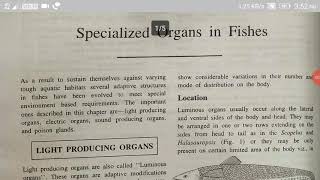 Light producing Organs in fishes [upl. by Darum]