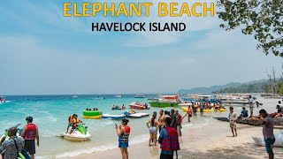 Elephant Beach  Havelock Island  best beach for water activities amp swimming 🏖️ [upl. by Aicilla931]