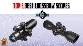 Top 5 Best Crossbow Scopes to Buy in 2023 Review  Make Selection From Our Recommended [upl. by Nnylrebma]