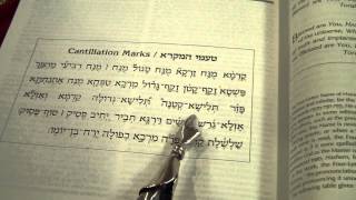 Trope Trop Cantillations Marks for Torah Readings Ashkenaz טעמי המקרא הגייתם וניגונם נוסח אשכנז [upl. by Levon28]