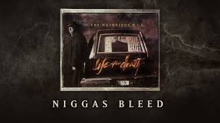 The Notorious BIG  Niggas Bleed Official Audio [upl. by Gunar]