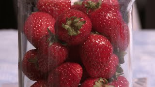 How to extract DNA from strawberries [upl. by Chandler]