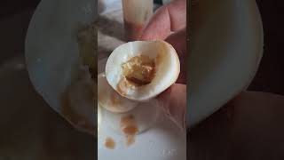 Boiled Eggs w Malagueta Hot Sauce [upl. by Huskey]