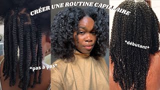 COMMENT CRÉER SA ROUTINE CAPILLAIRE CHEVEUX CRÉPUS  BOUCLÉSFRISÉS [upl. by Gnem]