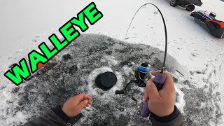 Really Fun Walleye Bite  Ice Fishing [upl. by Adolphus]