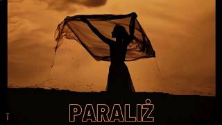 Razored  Paraliż Official Visualizer [upl. by Paul350]