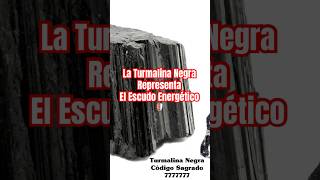 La Turmalina Negra y su Poder Energético 🛡️ cuarzos turmalina codigossagradosdeagesta cristales [upl. by Airpac]