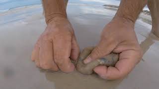 how to catch beach worms use full tips South Australia Part 2 [upl. by Ingeborg813]