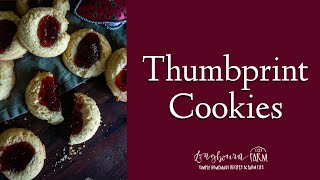 Jam Thumbprint Cookie Recipe  Thumbprint Cookie Recipe [upl. by Cullie]