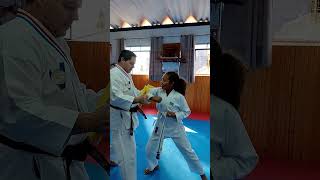 Tameshiwari  BDK  Karate Gabriche karate [upl. by Leahcimrej349]