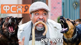 Waka TM New Eritrean comedy 2024 Wardya by Dawit Eyob ዋርድያ ብ ዳዊት እዮብ [upl. by Hankins381]