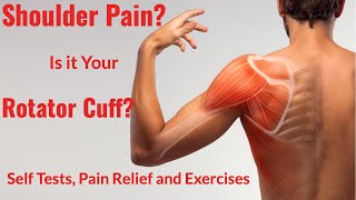 Shoulder Pain  Rotator Cuff Tests Pain Relief and Exercises [upl. by Vergne]