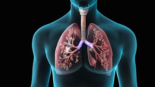 Spirometry  Test for Lung Function  Nucleus Health [upl. by Ariday]