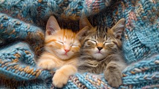 NEW IMPROVED Relaxing Therapy Music for Cats  Cat Healing Music Stress Relief Music for Cats [upl. by Diandra471]