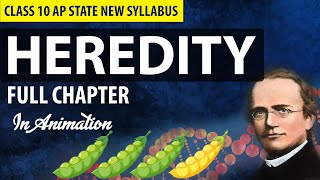 HEREDITY CLASS 10 FULL CHAPTER Explanation in Telugu  CBSE amp AP State New Syllabus [upl. by Fitts841]