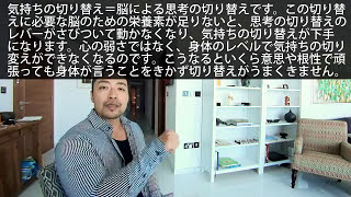 栄養療法でメンタル改善！気持ちの切り替え上手になる方法 心のレバーをスムーズにしよう [upl. by Norling]