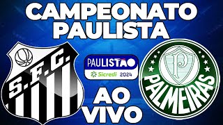 SANTOS 1 X 0 PALMEIRAS FINAL DO CAMPEONATO PAULISTA [upl. by Lahsram287]