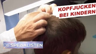 Permanentes Kopfjucken  Läusebefall  Auf Streife  Die Spezialisten  SAT1 TV [upl. by Mcclain]