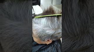 Hair Dye Shampoo Gray to Black 3 in 1 Herbal Dyeing  Easy Hair Dye [upl. by Meerek]