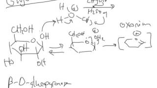 CHEM 407  Carbohydrate Chemistry  Methyl Glycoside Formation [upl. by Alemrac54]