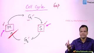 Anticancer Drugs  1 Cytotoxic Anticancerdrugs grg pharmacology [upl. by Udall]