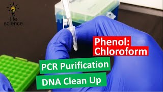 DNA Extraction  Improved PhenolChloroform Method [upl. by Philps]