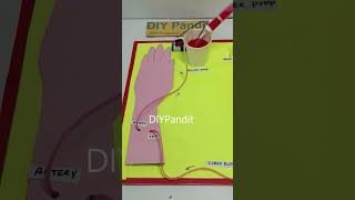 hemodialysis working model science project  shorts  DIY pandit [upl. by Uund]