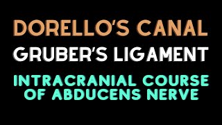 Intracranial course of abducent nerve Dorellos canal Grubers ligament [upl. by Gernhard63]