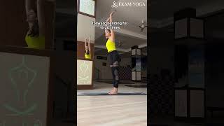 Ekam Yoga Are you not able to do padahastasana  Padahastasana tutorial  Padahastasana [upl. by Morganstein31]