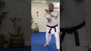 Heian Godan one way to practice the last 4 movesshotokan shotokankata [upl. by Amadus]