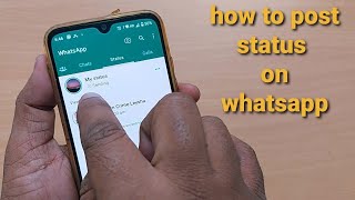 how to post a status on whatsapp  whatsapp status [upl. by Card]