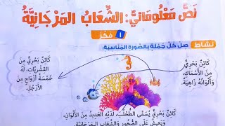 حل كتاب المدرسه صفحة 8889909192 للصف الثالث الابتدائي المنهج الجديد الترم الاول 2025 [upl. by Gabbey]