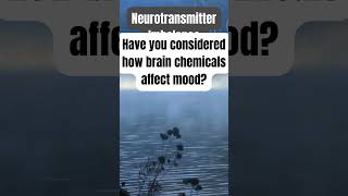 Neurotransmitter Imbalance facts factshorts psychology psychologyfacts mentalhealth [upl. by Leirda327]