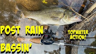 AUSSIE BASS Fishing After Heavy Rain [upl. by Obellia]