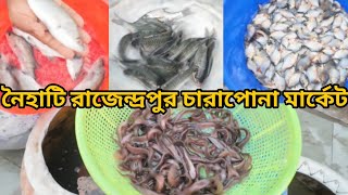 Naihati Rajendrapur Charapona Market  রাজেন্দ্রপুর চারাপোনা মার্কেট  Naihati Charapona Market [upl. by Annahgiel]