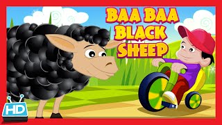 BAA BAA BLACK SHEEP Nursery Rhyme [upl. by Adebayo]